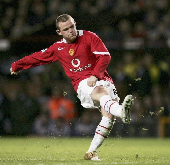 备被一条悲 备被一条悲