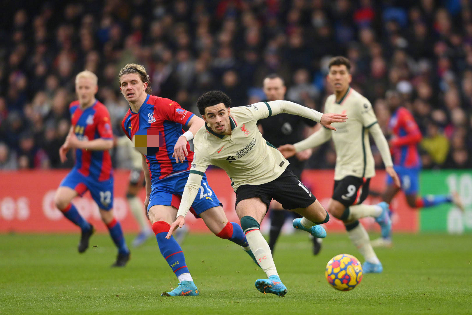 球坛明星再 球坛明星再